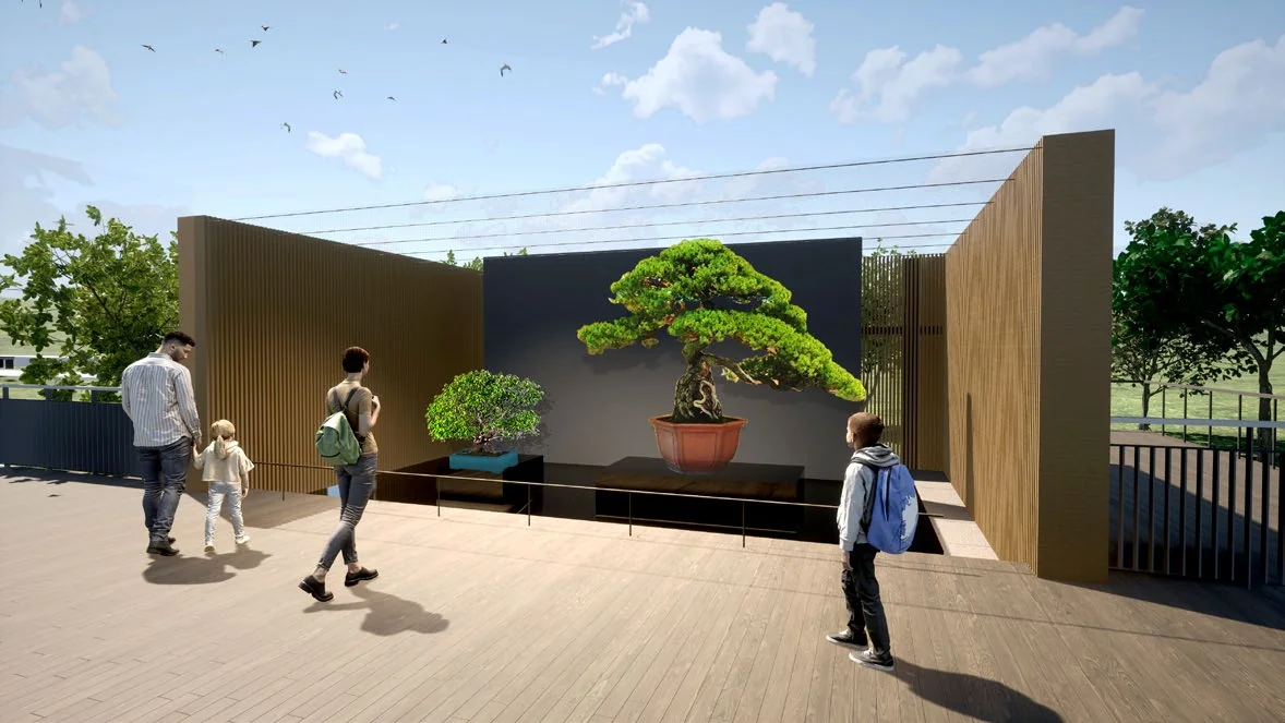 盆栽展示イメージ